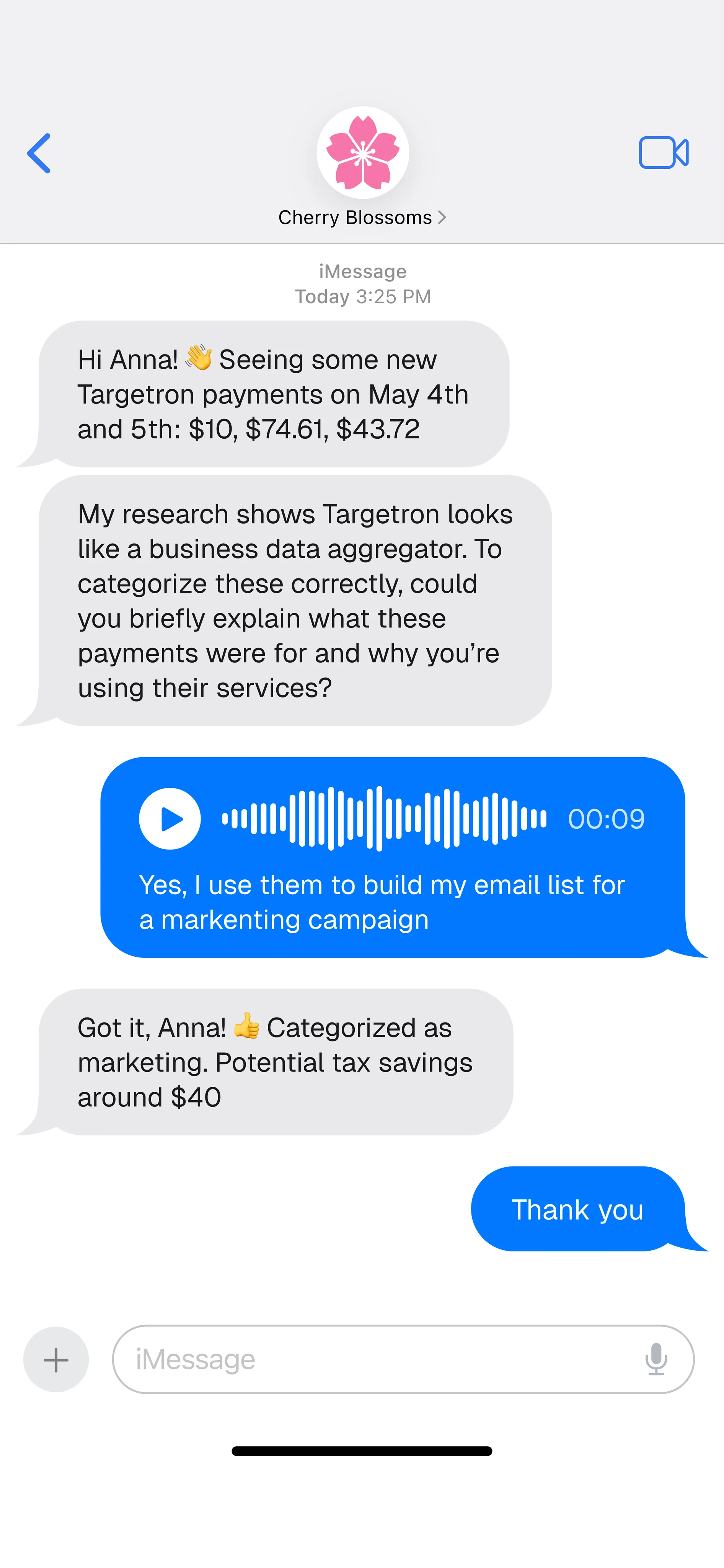WhatsApp conversation with AI accountant